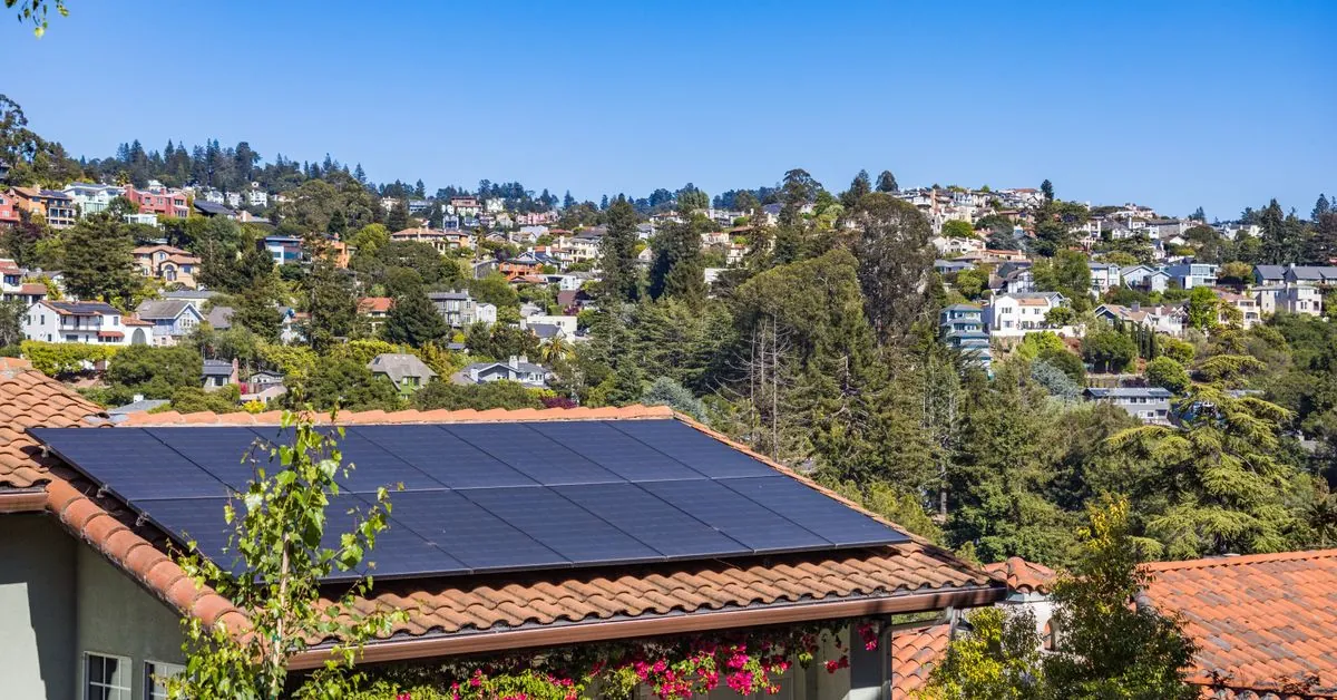Website monitoring that cares about the planet