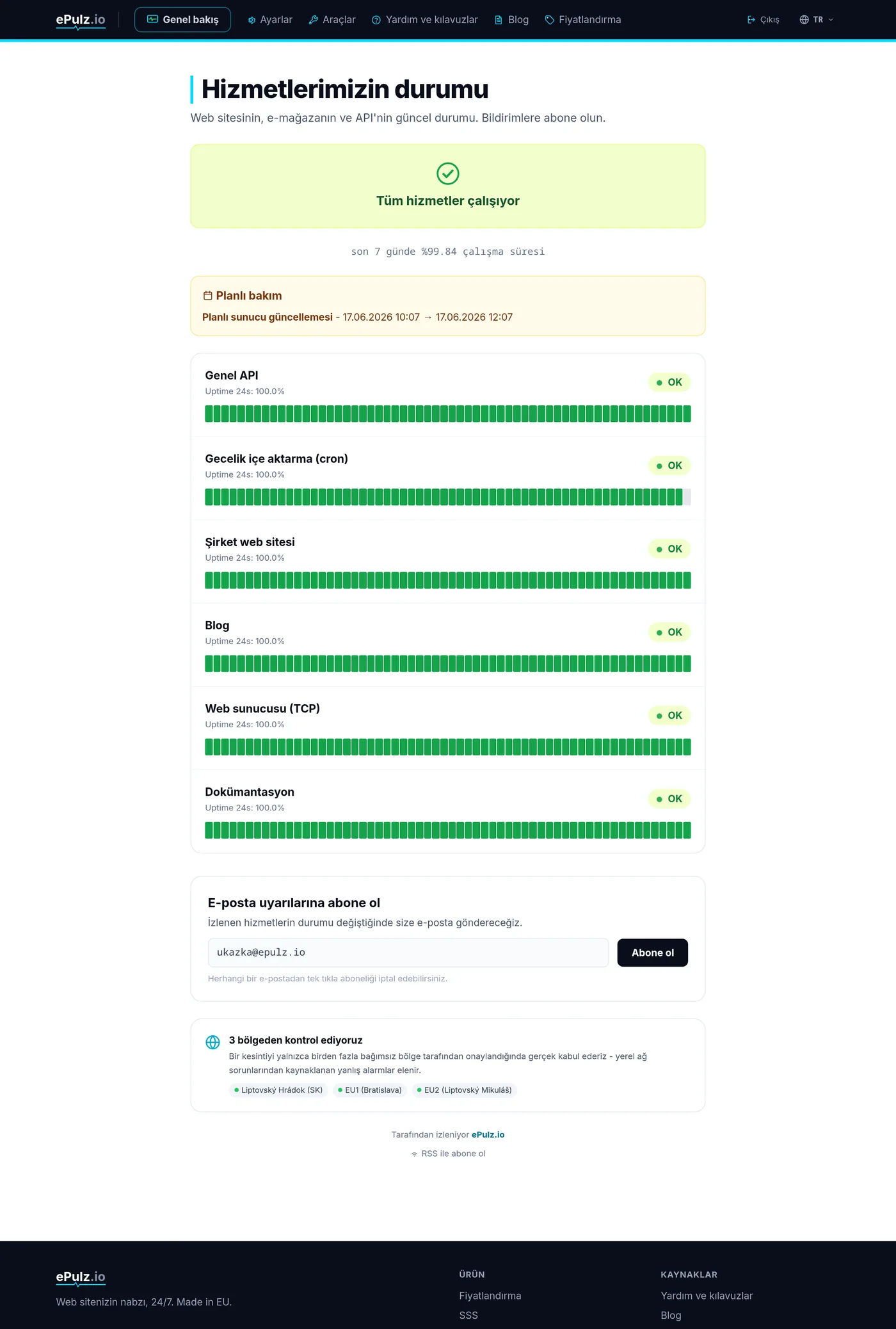 ePulz.io genel durum sayfası